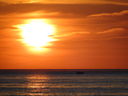 Filename=DSC06259.JPG
Filesize=78KiB
Dimensions=800x600
Date added=Jun 19, 2012 DSC06259.JPG