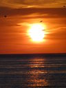 Filename=DSC06263.JPG
Filesize=95KiB
Dimensions=600x800
Date added=Jun 19, 2012 DSC06263.JPG