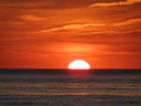 Filename=DSC06270.JPG
Filesize=76KiB
Dimensions=800x600
Date added=Jun 19, 2012 DSC06270.JPG